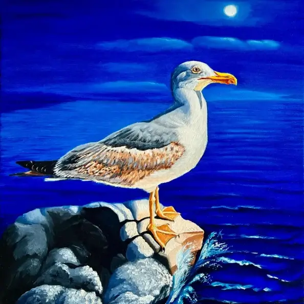 Vital Energy - Yellow-legged Gull (Larus michahellis), Indian ink and oil painting on canvas, 43x43 cm